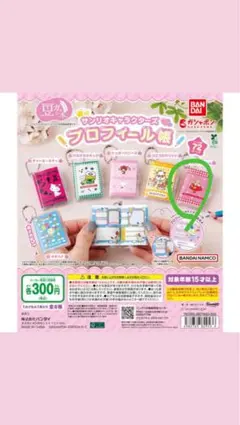 サンリオキャラクターズプロフィール帳　マロンクリーム