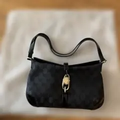 Item thumbnail for item 8bcf4885-1b4c-4605-9b15-ee6431d0f44e