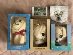 岩田剛典　グッズまとめ売り