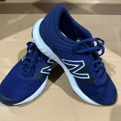 26cm ニューバランス 4E ネイビー ME420CN2