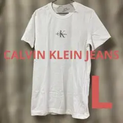 CALVIN KLEIN JEANS tシャツ Lサイズ