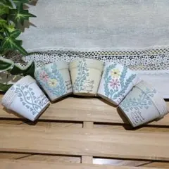 リメイク鉢 リメ鉢 2.5号鉢5点セット 多肉植物 植木鉢