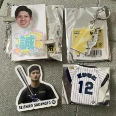 阪神タイガース　坂本誠志郎選手