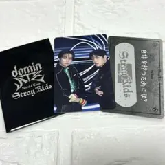 Stray Kids エコパ　フォーチュンカード　 リノ　スンミン　離婚危機