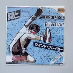 スチャダラパー「3000」LP レコード ロボ宙 かせきさいだぁ スチャダラパー「3000」LP レコード ロボ宙 かせきさいだぁ