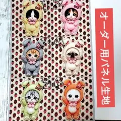 着ぐるみ♡チワワちゃんシーズーちゃんトイプードルちゃんetc.受付