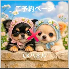 ハンドメイドオーダー受け付け(マルチーズ、ポメラニアン、チワワ