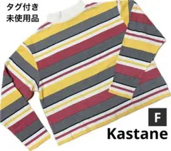 【タグ付き未使用品】Kastaneカスタネ　マルチカラーボーダー長袖カットソー