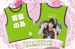 Item thumbnail for item 9a19a1bd-46bf-402b-ab42-19e2fb768e93