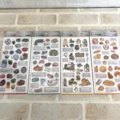 3d 大人の図鑑シール 新作4種