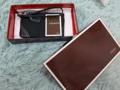 【美品】COACH/コーチ/シグネチャー/ポーチ/ミニバッグ/マルチケース