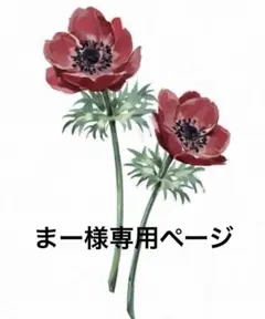 ♡まー様専用ページ♡