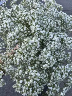 かずみ様 リクエスト 2点 まとめ商品