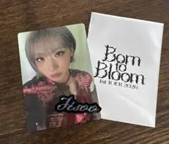 HANA ジス　トレカ　フォトカード　ステッカー