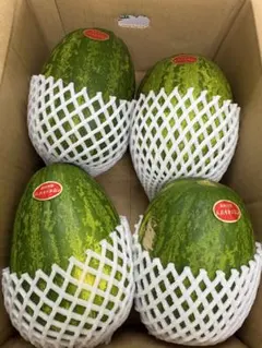 産地直送！訳あり甘いパパイヤメロン❗️4玉入り！甘くて美味しい❗️箱込4.8キロのサムネイル