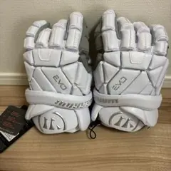 Item thumbnail for item 051e9b70-e521-4e53-a745-3c70f84ea579