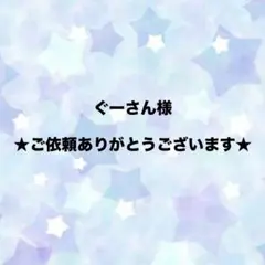 ぐーさん様 リクエスト 2点 まとめ商品