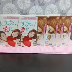 ❴¥2000❵韓国dvd大丈夫、愛だ.全12枚
