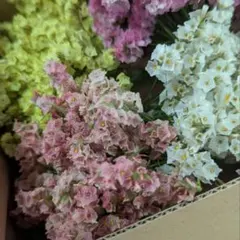 bergamot様 リクエスト 2点 まとめ商品