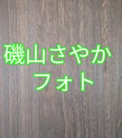 【磯山さやか】✨匿名配送✨写真 　Lサイズ　1枚　スリーブ保管