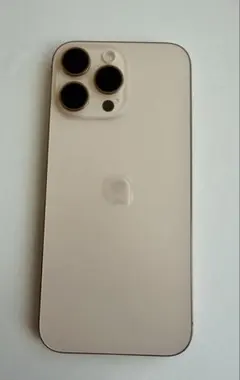 Apple iPhone 16 Pro Max 256G apple care