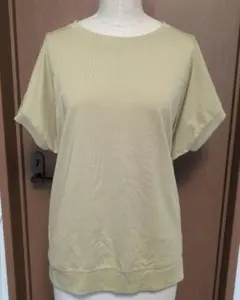 ヘビロテ/接触冷感//Tシャツ カットソーのサムネイル