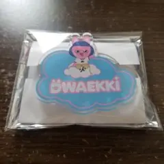 straykids ランダム ネームバッチ トゥエッキ