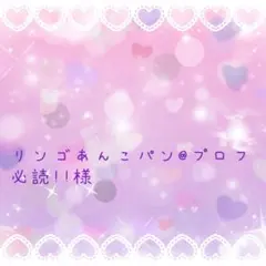 リンゴあんこパン@プロフ必読!!様専用