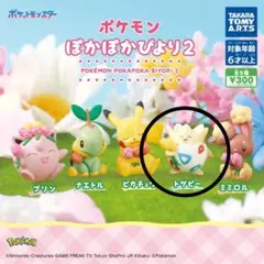 【匿名配送】ポケモンぽかぽかびより2 トゲピー