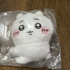 Item thumbnail for item 66669769-165a-4764-94b4-1571c44c081f