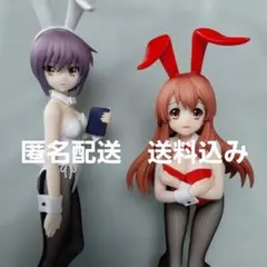 涼宮ハルヒの憂鬱 BiCute Bunnies Figure朝比奈みくる長門有希のサムネイル