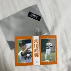 Item thumbnail for item 8e506cf5-9250-4ff6-8d62-b5288734d16f