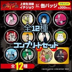 大カイジ展 イチジョウ 缶バッジ コンプリートセット 全12種