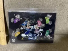 【限定品】ディズニーリゾート　25周年　イヤーハット　ピンバッジ