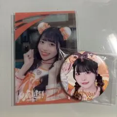 iLiFE! 小熊まむ 武道館 セット - メルカリ