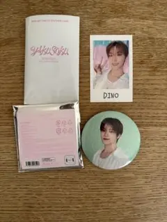 SEVENTEEN DINO インスタントフォトステッカーセット