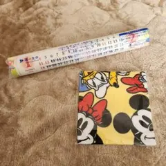 ディズニー2026年　6枚物カレンダー【第一生命】