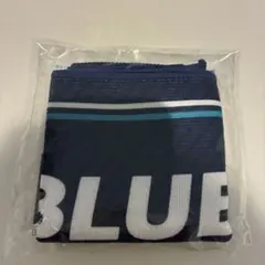 サッカー日本代表応援タオルマフラー 晴れ風 非売品