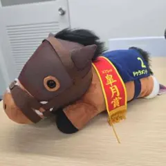入手困難！タグ付き アドマイヤムーン ぬいぐるみ トレカ セット第48回
