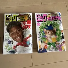 ビッグコミック 2004年 全24巻セット - メルカリ