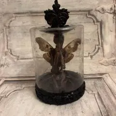 Item thumbnail for item 1d6e0512-6848-4066-b689-66e880e94c68