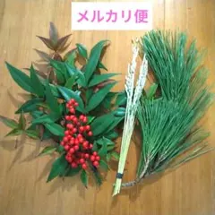 chomo2様 リクエスト 6点 まとめ商品