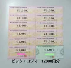 ビックカメラ　コジマ　株主優待券　12000円分