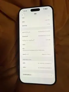 海外版 iPhone 16 Pro Max 1TB，美品，バッテリー100％