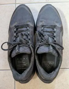 NIKE Pegasus 41 GORE-TEX 27.5cm 中古