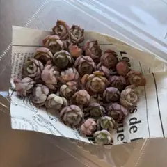 ぶっちゃん様 リクエスト 2点 まとめ商品