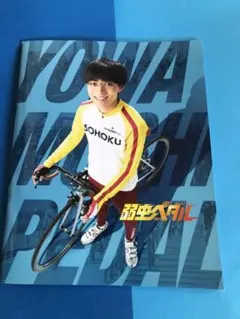 弱虫ペダル　パンフレット、フライヤー３枚