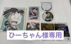 ひーちゃん様専用