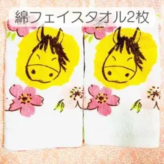 Item thumbnail for item 6ee5bf9e-7996-4c79-b2e5-af71ea4812bb