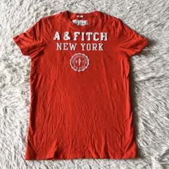 abecromaie&fitch デザインTシャツ